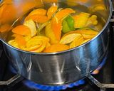 A picture of step 2 of Candied Orange and Lemon Peel:.