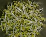 Foto langkah ke 1 dari resep Tumis Labu siam Toge.