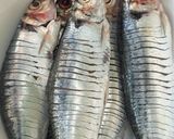 Gambar langkah 1 resipi Ikan Tamban Goreng Lada.