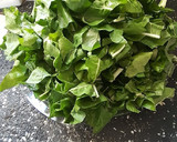 Foto del paso 2 de la receta: Súper pascualina de acelga y ricota ❤