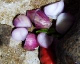 Foto langkah ke 1 dari resep Sayur Asem Terasi.