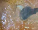 A picture of step 8 of Spicy Mutton Trotter And Bong.