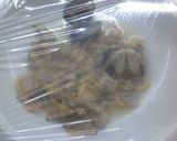 A picture of step 9 of Spaghetti with Langoustines, Shrimp, Calamari, and Clams.