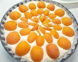Sárgabarackos tejszínes pite recept fázis 8 fotója