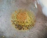 बन डोसा रेसिपी चरण 4 फोटो