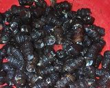 A picture of step 6 of Aditan mi soup.