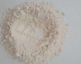 Foto del paso 2 de la receta: Pizza
