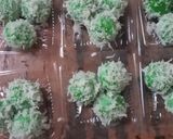 Foto langkah ke 5 dari resep Klepon ketan isi gula merah.