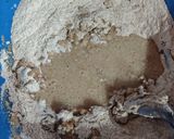 Foto del paso 2 de la receta: 🍞PAN INTEGRAL🍞