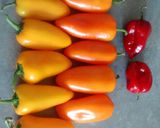 A picture of step 1 of Fermented Hot Sauce.