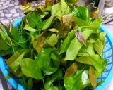 รูปขั้นตอนการทำที่ 1 ของ ใบเหลียงผัดไข่