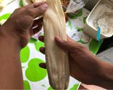 Foto del paso 10 de la receta: Tamales verdes de puerco