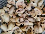 Mushrooms - Kuch Hat ke