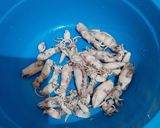 Foto langkah ke 1 dari resep Cumi Asin Balado Cabe ijo.