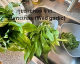 รูปขั้นตอนการทำที่ 1 ของ 🥬กุยช่ายทอด จากต้นกระเทียมป่า + น้ำจิ้มรสเด็ด Wild Garlic พืชสมุนไพรในต่างแดน 🇩🇰