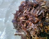 Foto langkah ke 4 dari resep Empal Goreng.