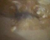 A picture of step 4 of Chicken knorr veg soup.