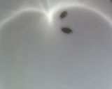 A picture of step 2 of Rusmalae.