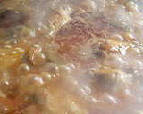 Foto del paso 3 de la receta: Arroz de otoño
