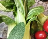 Une image de l'étape 1 de Vegan soupe choux bok choy concombre.