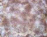 Muffin formában sült kakaós csiga recept fázis 4 fotója