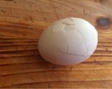 Foto del paso 2 de la receta: Huevos ojos 👀 de halloween 🎃