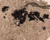 صورة لخطوة 3 من وصفة كيك الشوكولاتة بالبلوبيري / Blueberry Chocolate cake