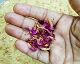 মালাই সুজি বর্ফি (Malai Suji Barfi Recipe In Bengali) রেসিপির ধাপ 2 ছবি
