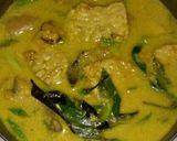 Foto langkah ke 6 dari resep Opor ayam+tempe.