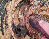 Foto langkah ke 6 dari resep Tahu Tek Khas Surabaya.