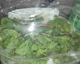 Foto del paso 3 de la receta: Mojitos