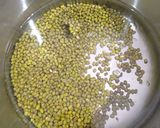 ફણગાવેલા મગ નું સલાડ (Sprouted Mag Salad Recipe In Gujarati) રેસીપી સ્ટેપ1ફોટો