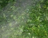 A picture of step 1 of Mooli ke patton ka Saag.