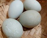 Foto langkah ke 12 dari resep Martabak Spesial Telur Bebek.