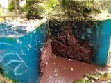 Ocean / islan cake