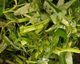 Foto langkah ke 2 dari resep Tumis Kangkung Saus Tiram.