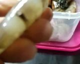 Foto langkah ke 2 dari resep Ebifurai.