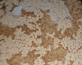 A picture of step 1 of Amaranth (Rajgira) Upma.