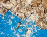 Foto langkah ke 5 dari resep Ayam Fillet Saus Mentega (dr Mama Anna).