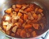 Vickys Chicken, Sweet Potato & Fig Tagine, GF DF EF SF NF recipe step 8 photo