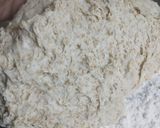Foto del paso 2 de la receta: Pizza de masa integral