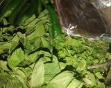 A picture of step 1 of Frozen Green chutni💚.