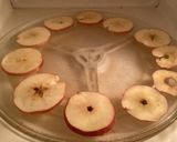 A picture of step 3 of California Farm Student Dried Apple Snacks.