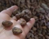 Une image de l'étape 3 de ☕️Chocolat 🍫 gourmand 🌰☕️🌰.