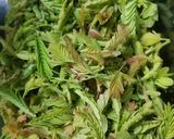 A picture of step 1 of Tamarind leaves rice.