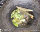 হায়দ্রাবাদী চিকেন (Hyderabadi Chicken recipe in Bengali) রেসিপির ধাপ 2 ছবি