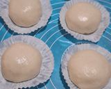Foto langkah ke 4 dari resep Bakpao.