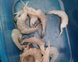Foto langkah ke 1 dari resep Tumis pakis terasi.