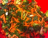 Foto del paso 1 de la receta: Pastelito de verduras al horno