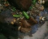 Foto langkah ke 2 dari resep Rujak Buah.